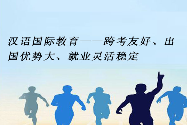 汉语国际教育
